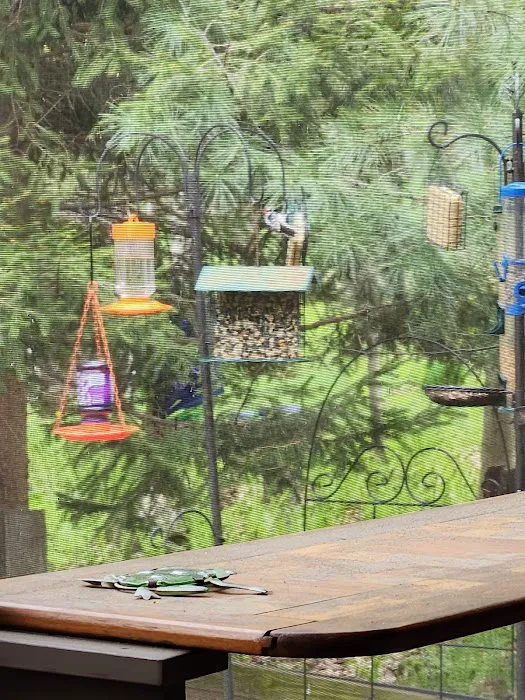 Rustic Woods Campground Picture 4