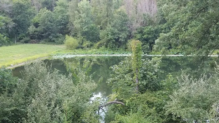 Bitternut Lake Campground Picture 4