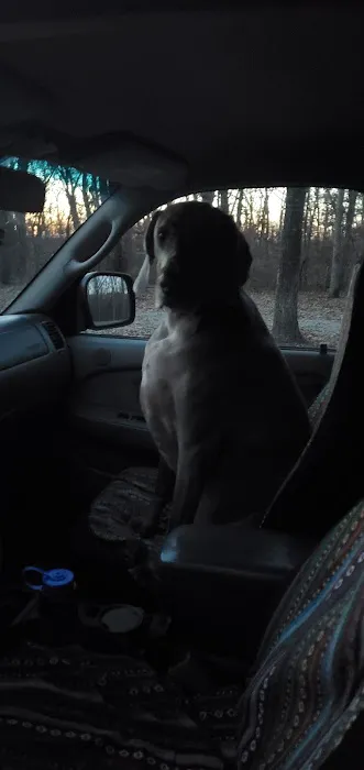 Bitternut Lake Campground Picture 9