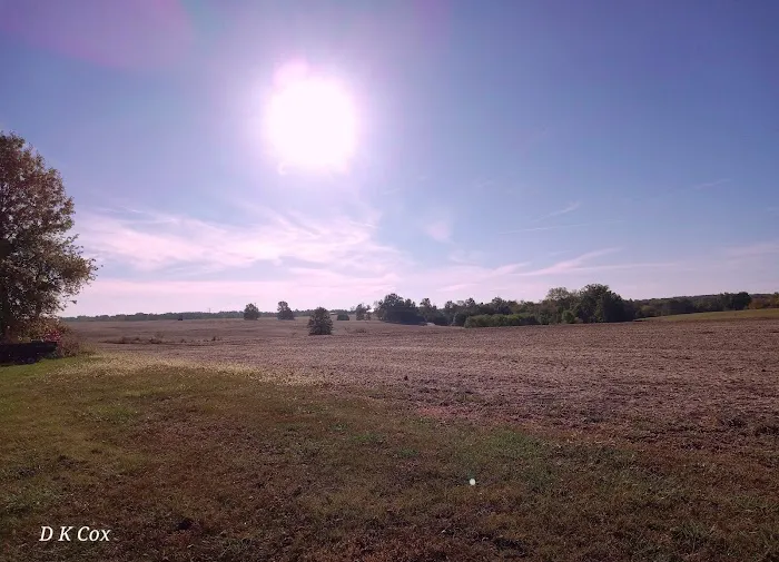Catfish Place Campgrounds Picture 6