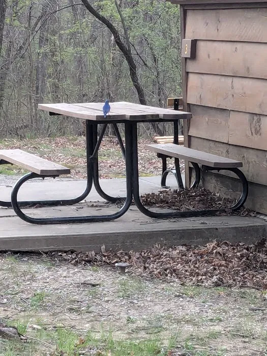 Lacey Keosauqua State Park Cabins Picture 2