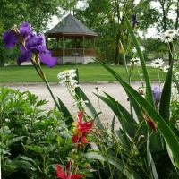Van Buren County Conservation ico