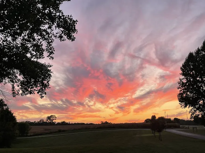 Pittsfield Lake Campground Picture 7