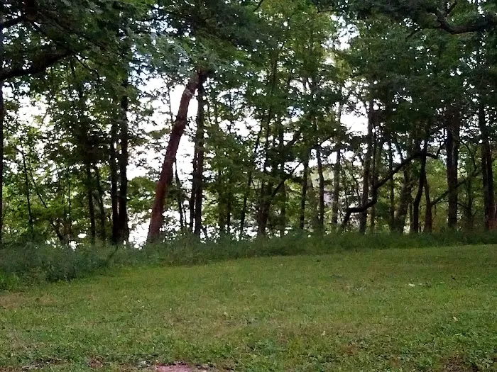 Pittsfield Lake Campground Picture 8