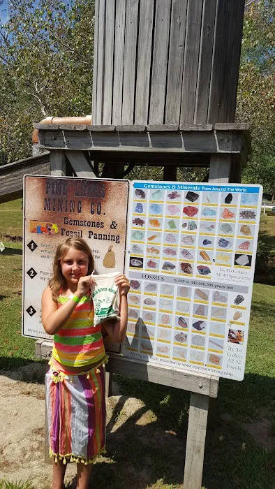 Pine Lakes Resort Picture 3