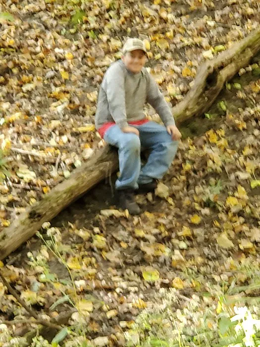 Pine Grove Campground Picture 1