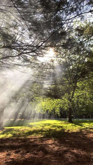 Pine Grove Campground Picture 3