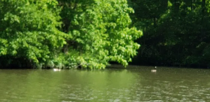 Greenfield Rives Lake Camping Picture 7