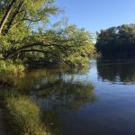 Tailwater East Campground