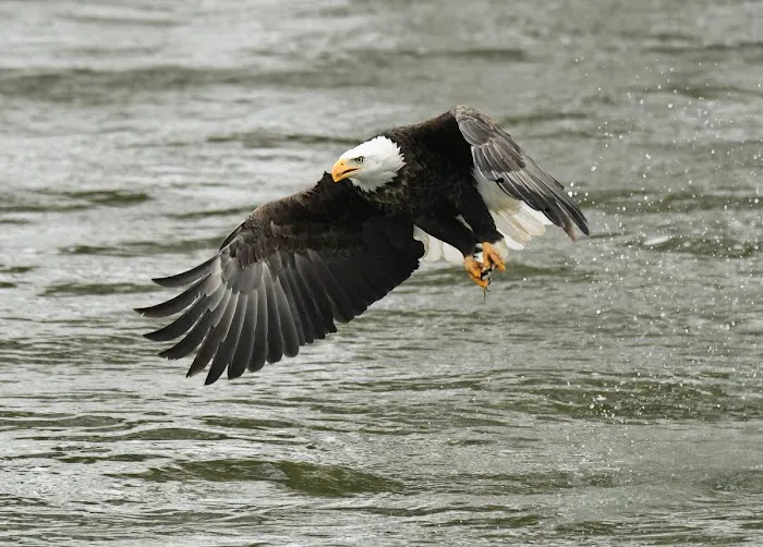 Tailwater West Campground Picture 5