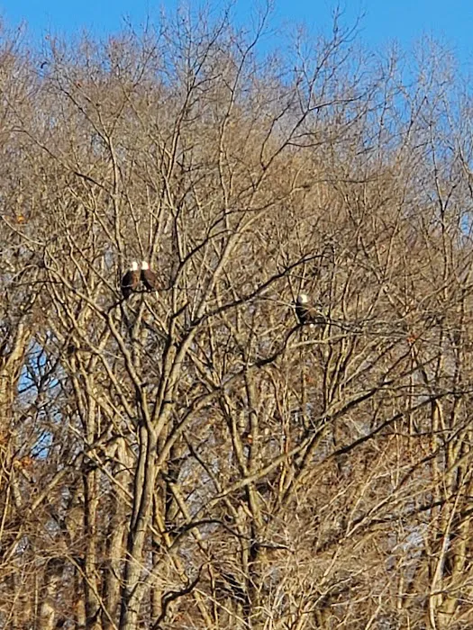 Tailwater West Campground Picture 9