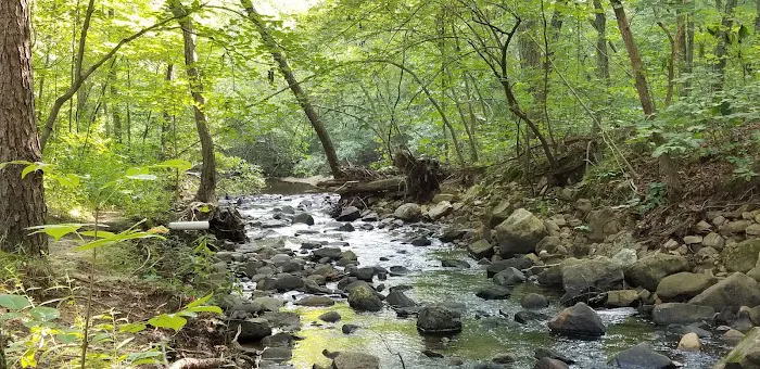 Hawn State Park Campground Picture 3