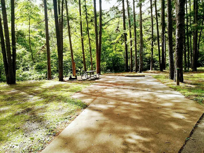 Hawn State Park Campground Picture 2