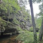Hawn State Park Campground