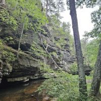 Hawn State Park Campground ico