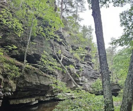 Hawn State Park Campground