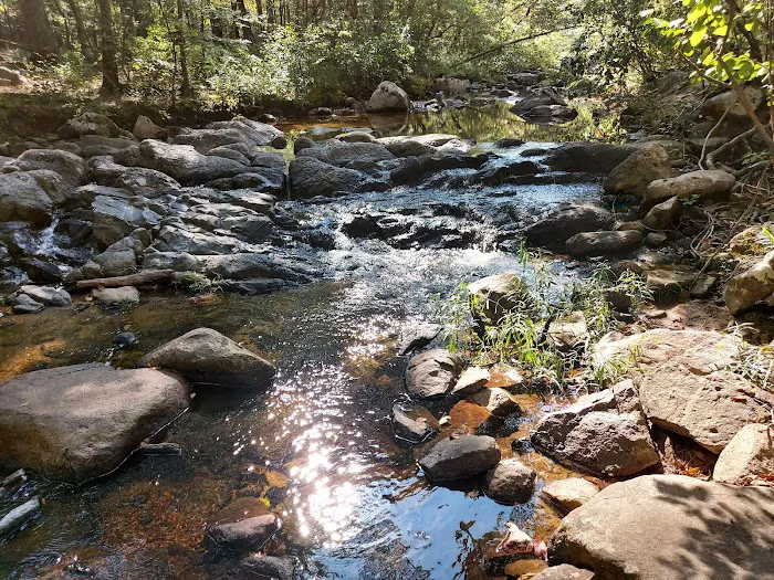 Hawn State Park Campground Picture 6