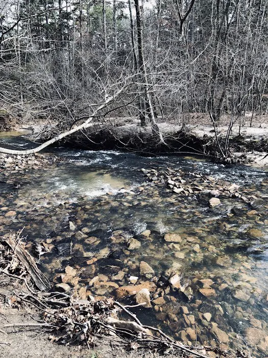 Hawn State Park Campground Picture 4