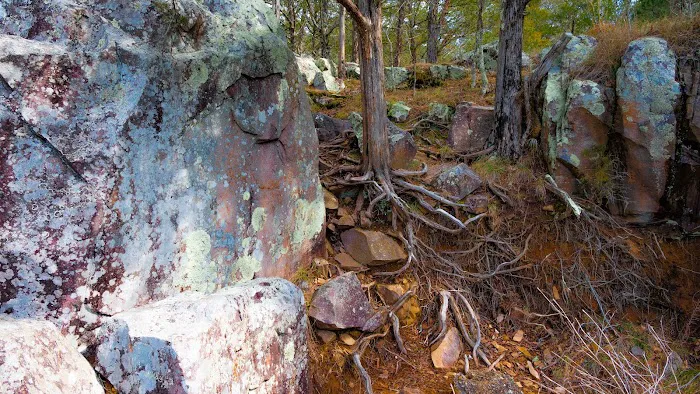 Marble Creek Campground Picture 6