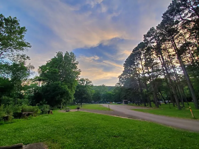 Campground 1 Picture 7