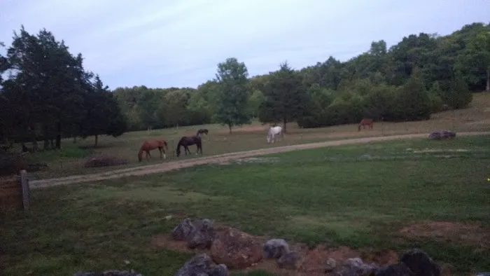 Starner Camping & Stables Picture 2