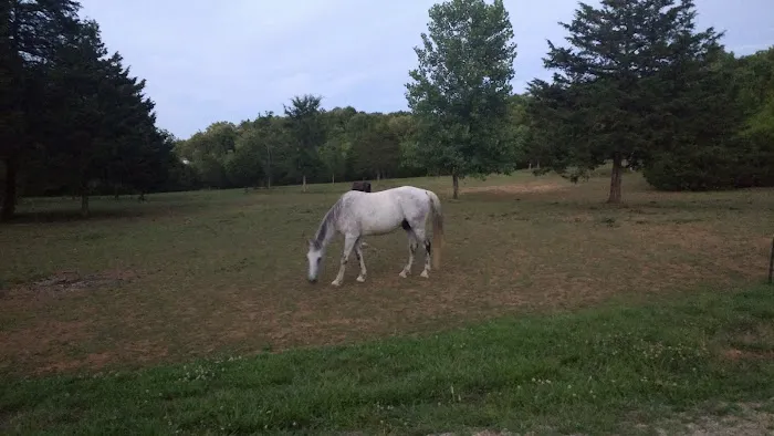 Starner Camping & Stables Picture 1