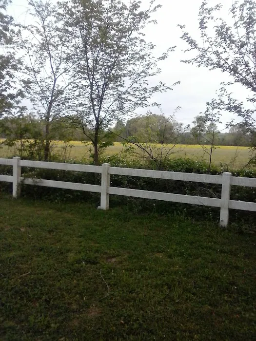 Riverside Campground Picture 2