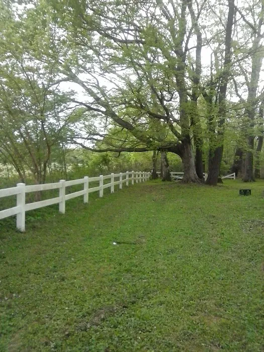 Riverside Campground Picture 10