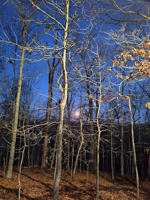 Ridge Campground Picture 5