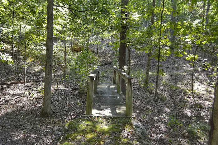 Asher Creek Campground Picture 1