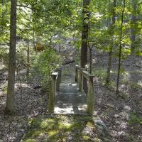Asher Creek Campground ico
