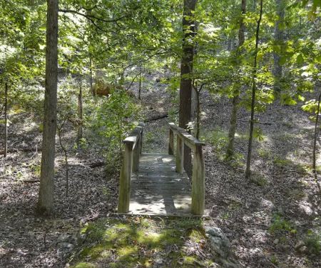 Asher Creek Campground