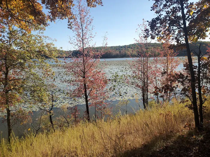 Asher Creek Campground Picture 6