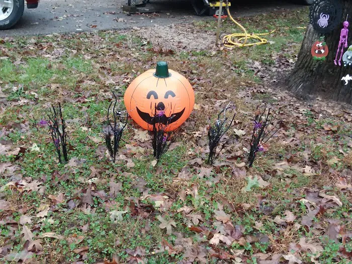 Redman Creek Campground west Picture 5