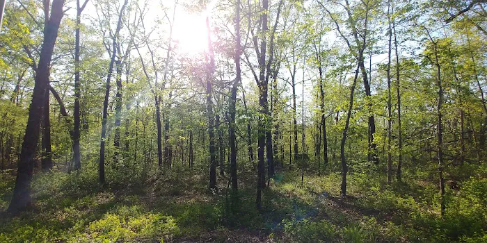 Redman Campground East Picture 9