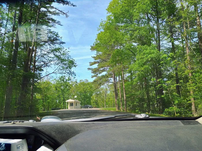 Redman Campground East Picture 10