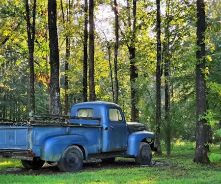 The Camp At Lake Wappapello