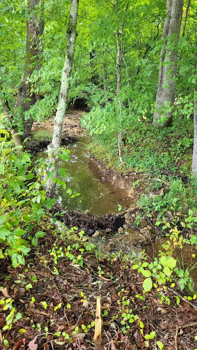 Huff Camp, LLC Picture 8