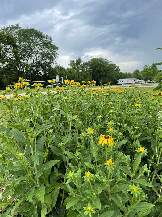 Big Creek RV Park/ Arcadia Meadow Campground LLC Picture 3