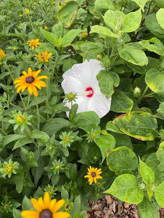 Big Creek RV Park/ Arcadia Meadow Campground LLC Picture 8