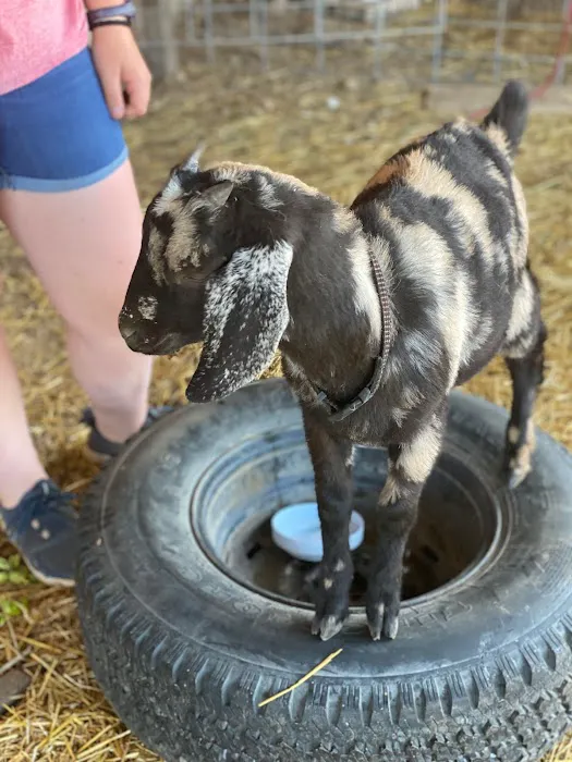 Big Creek RV Park/ Arcadia Meadow Campground LLC Picture 9