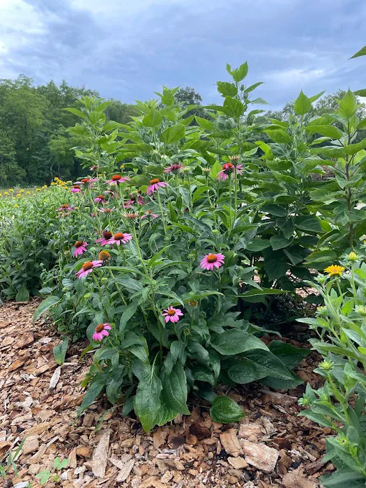 Big Creek RV Park/ Arcadia Meadow Campground LLC Picture 10