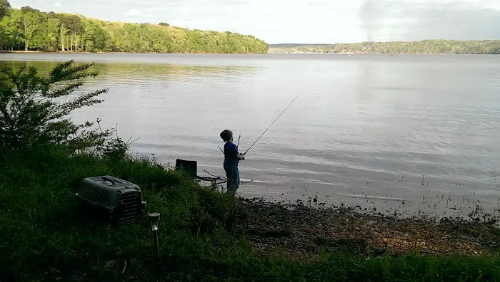 TVA Phillips Hill Campground Picture 4