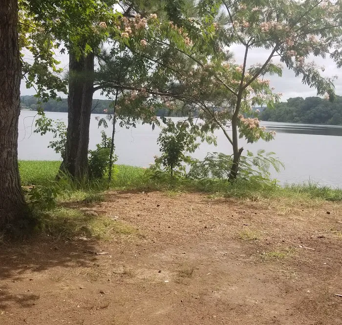 TVA Phillips Hill Campground Picture 1