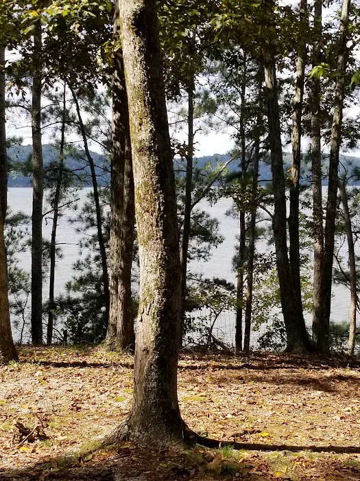 Colbert County Rose Trail Park Picture 5