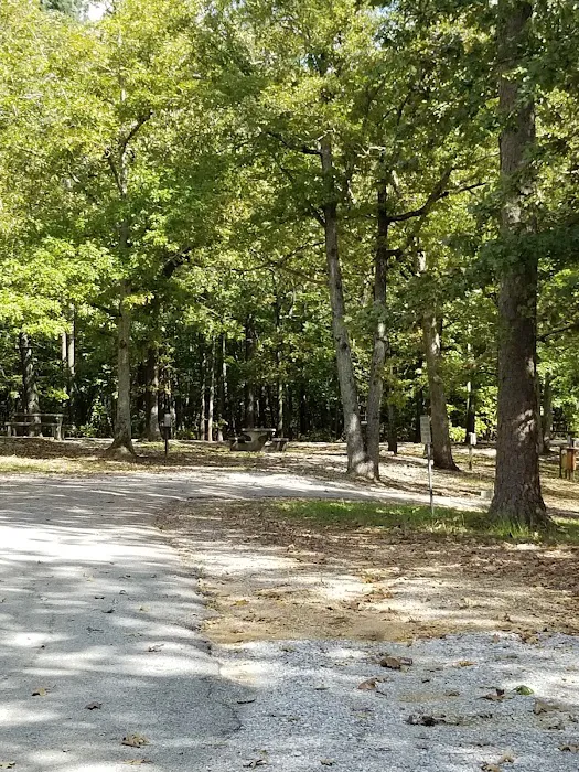 Colbert County Rose Trail Park Picture 4