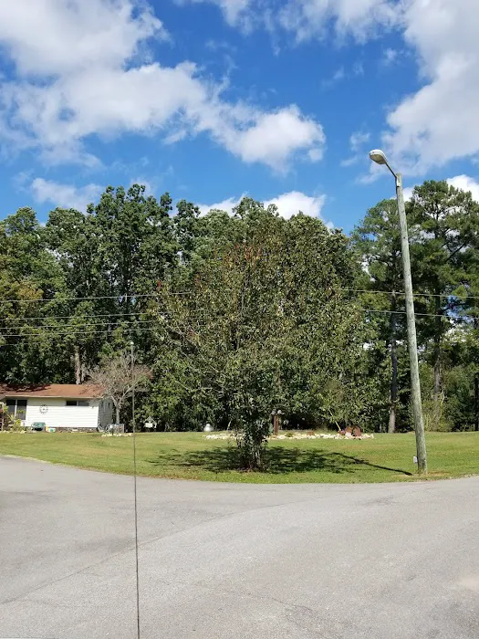 Colbert County Rose Trail Park Picture 9