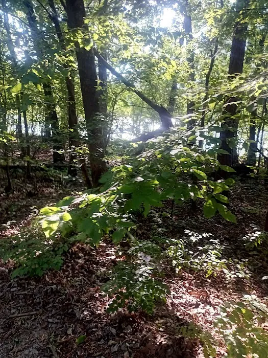 Slickrock Campground Picture 1