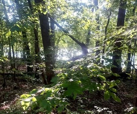 Slickrock Campground