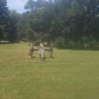 Battlefield Campground ico